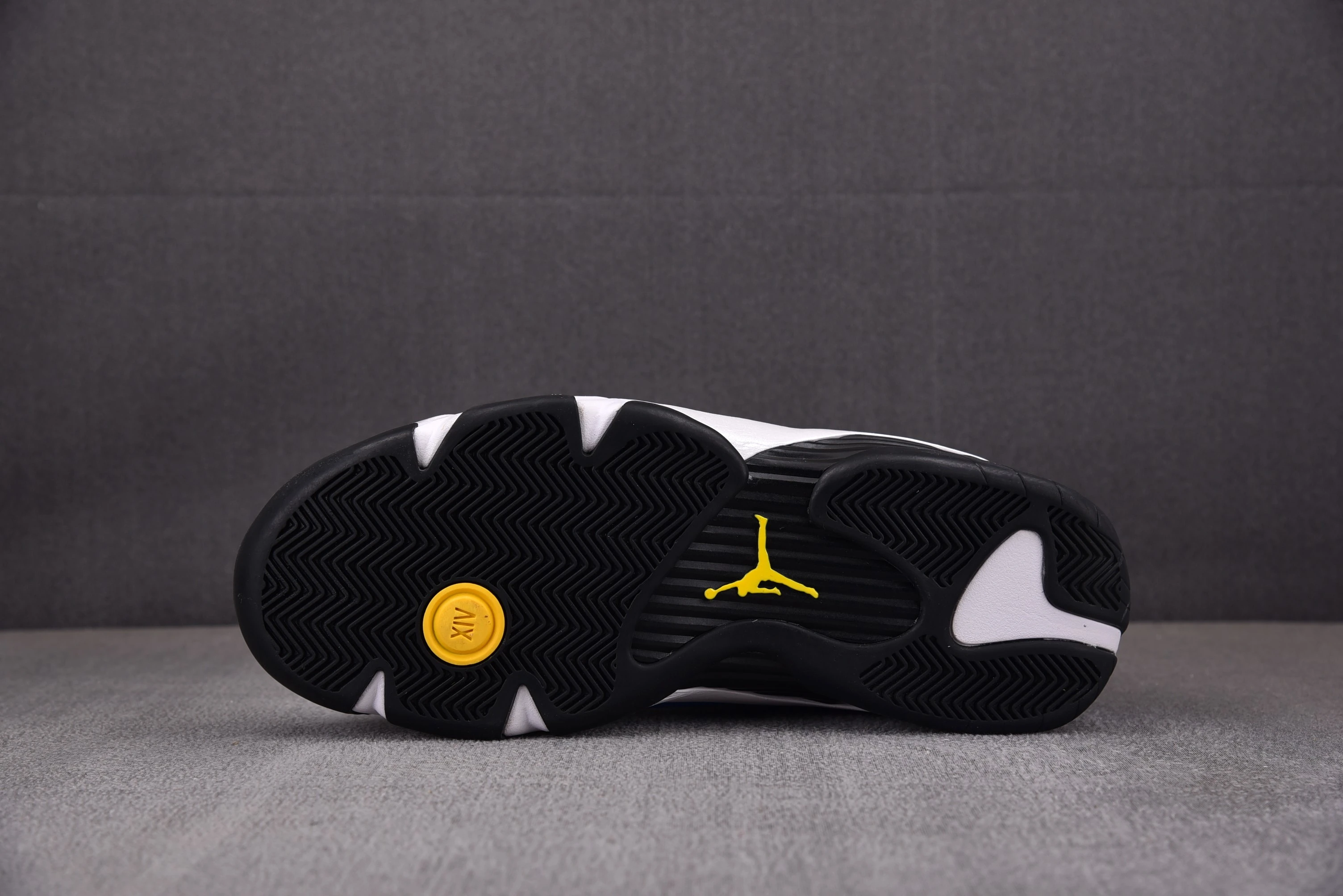 Jordan 14 Retro Laney (2023)