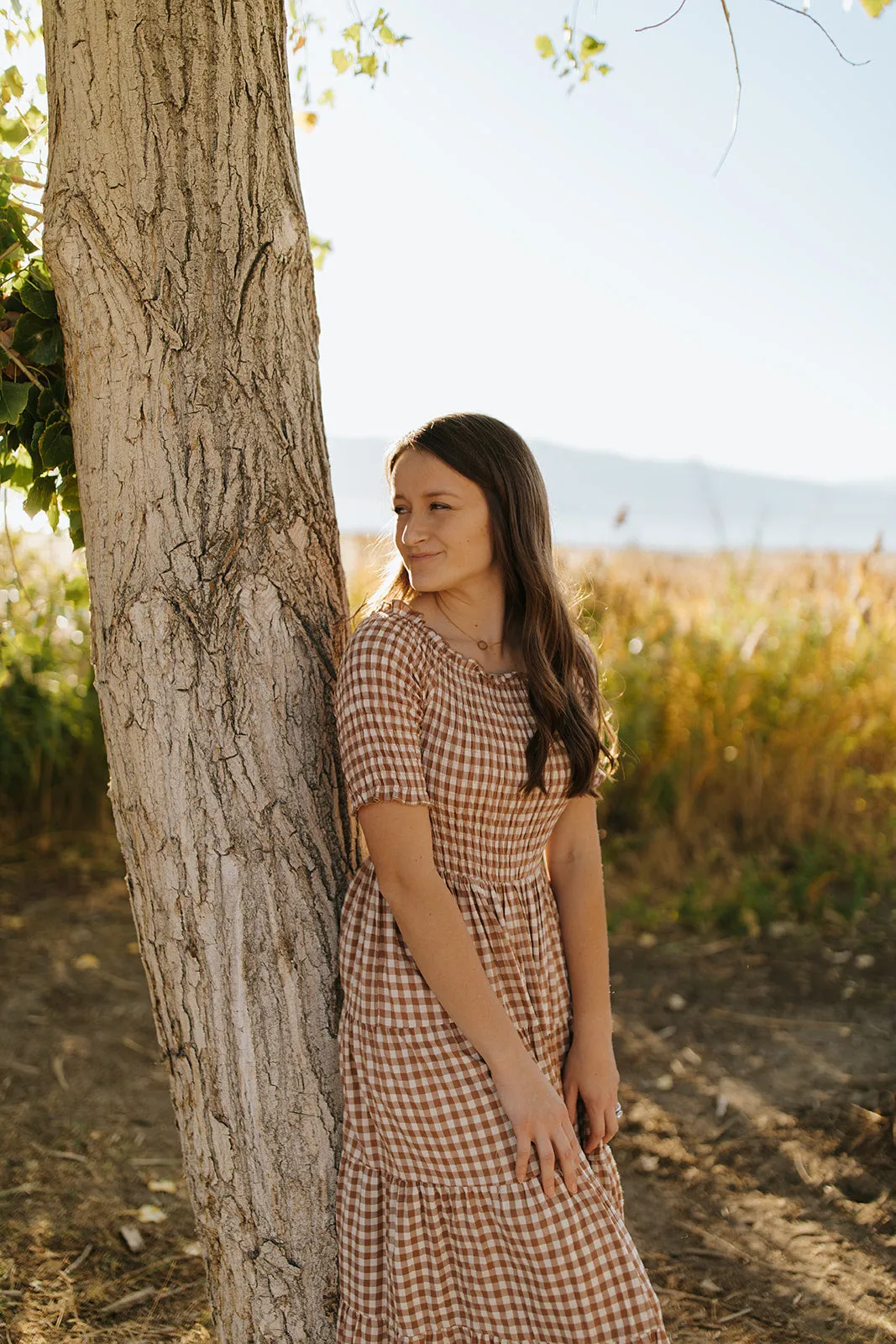 Karina Gingham Dress